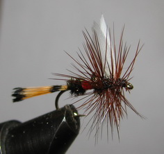 ���� ����� Dry fly Quill DFQ 06 